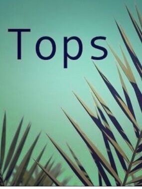 Shirts, Tees, Blouses, Sweaters, Tanks
